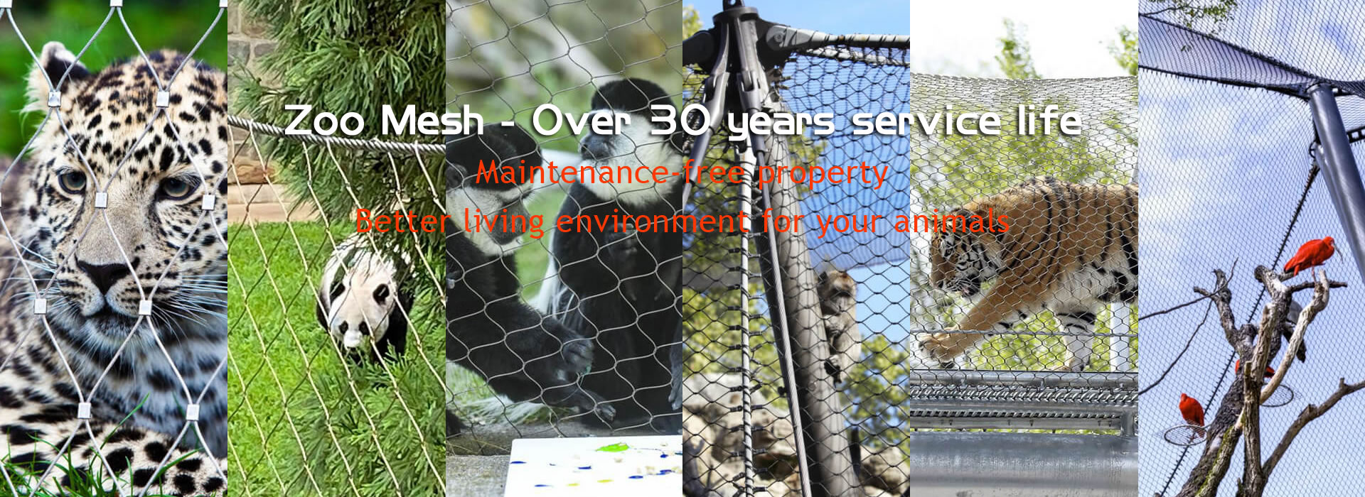 zoo mesh over 30 years service life