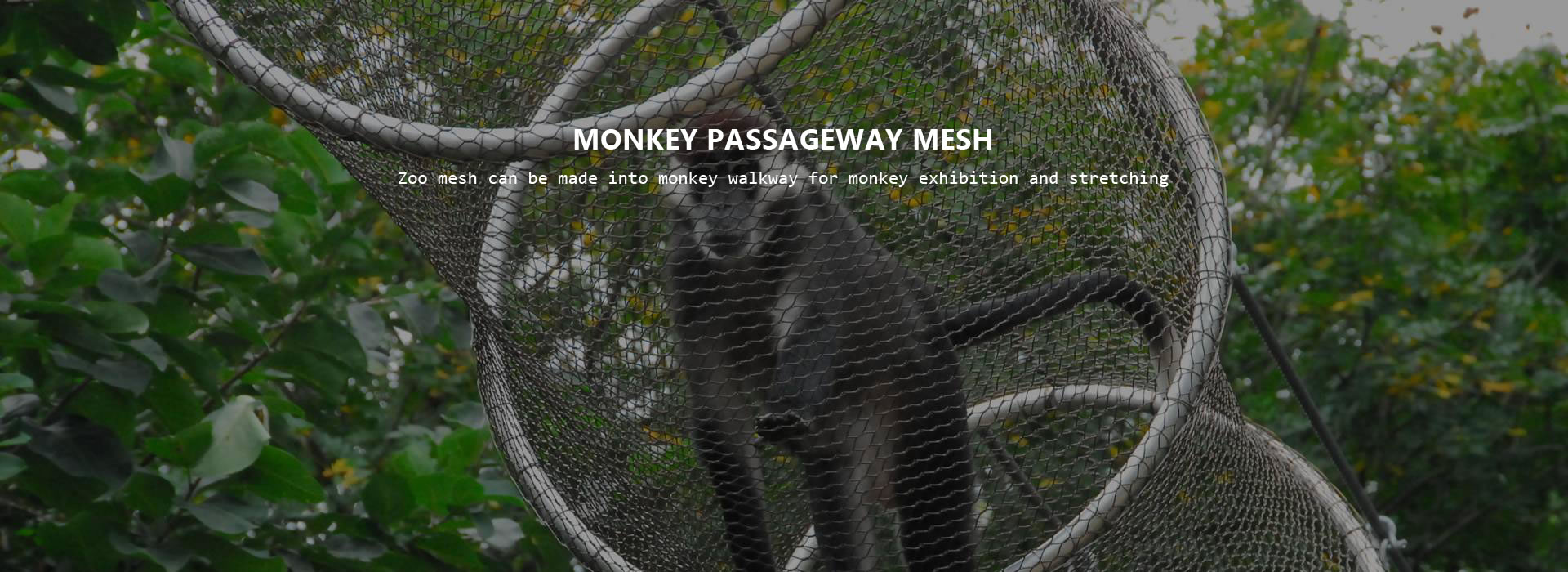 monkey passageway mesh