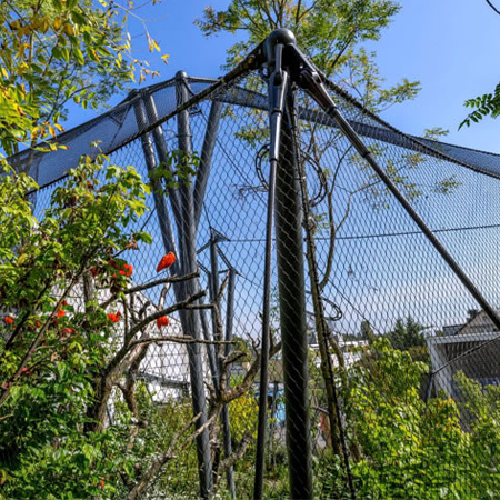 Aviary Netting