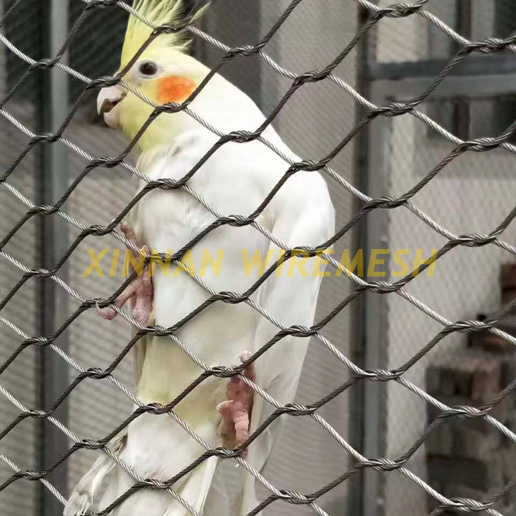 Parrots Enclosure Mesh