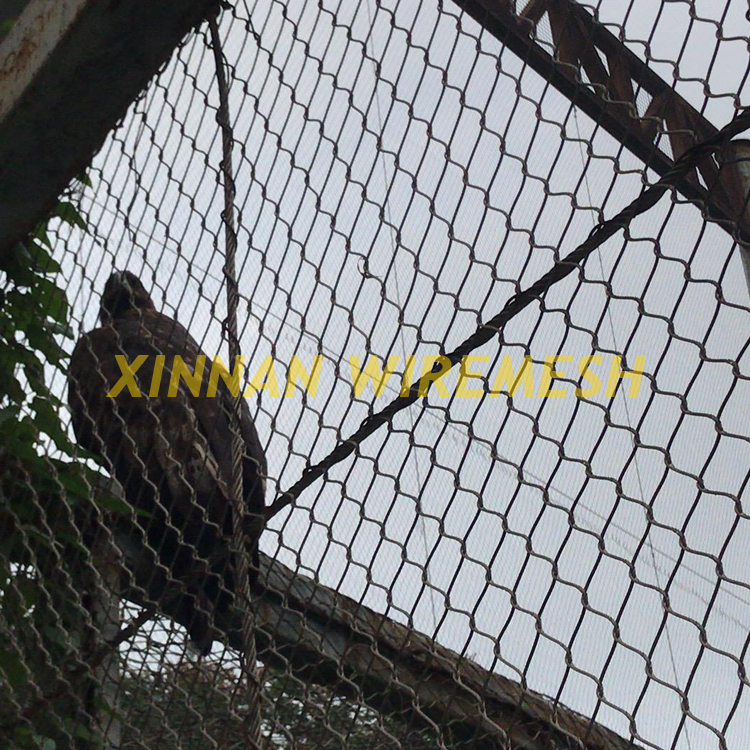 Eagle netting