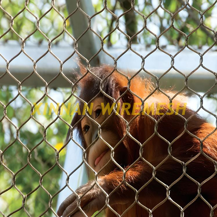 Monkey Enclosure Mesh