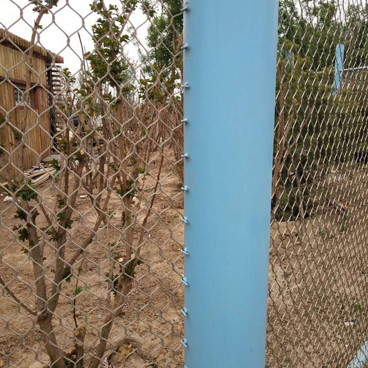 Animal Fence Mesh