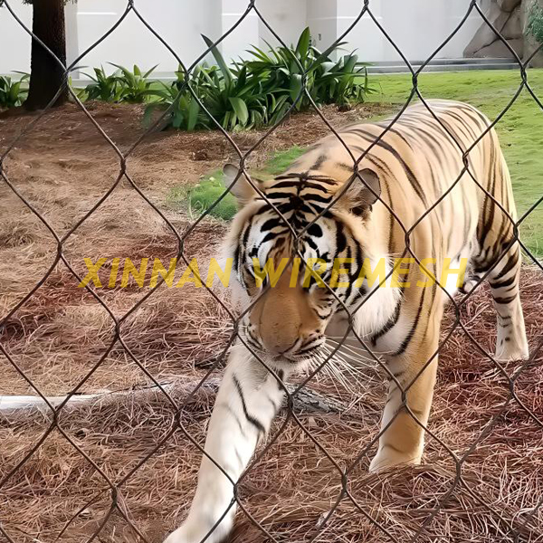 Tiger Enclosure Mesh